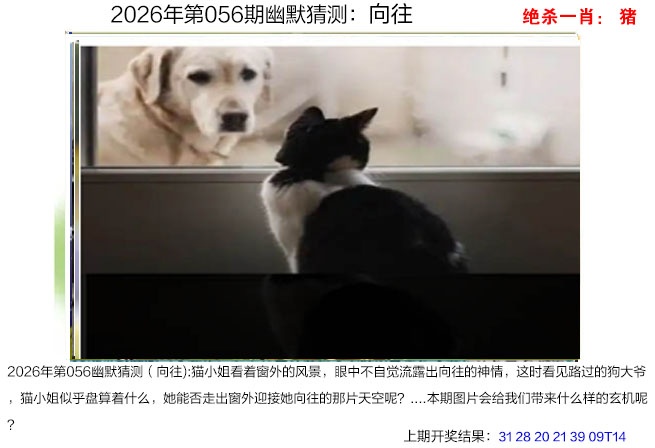 056期幽默猜测[图]