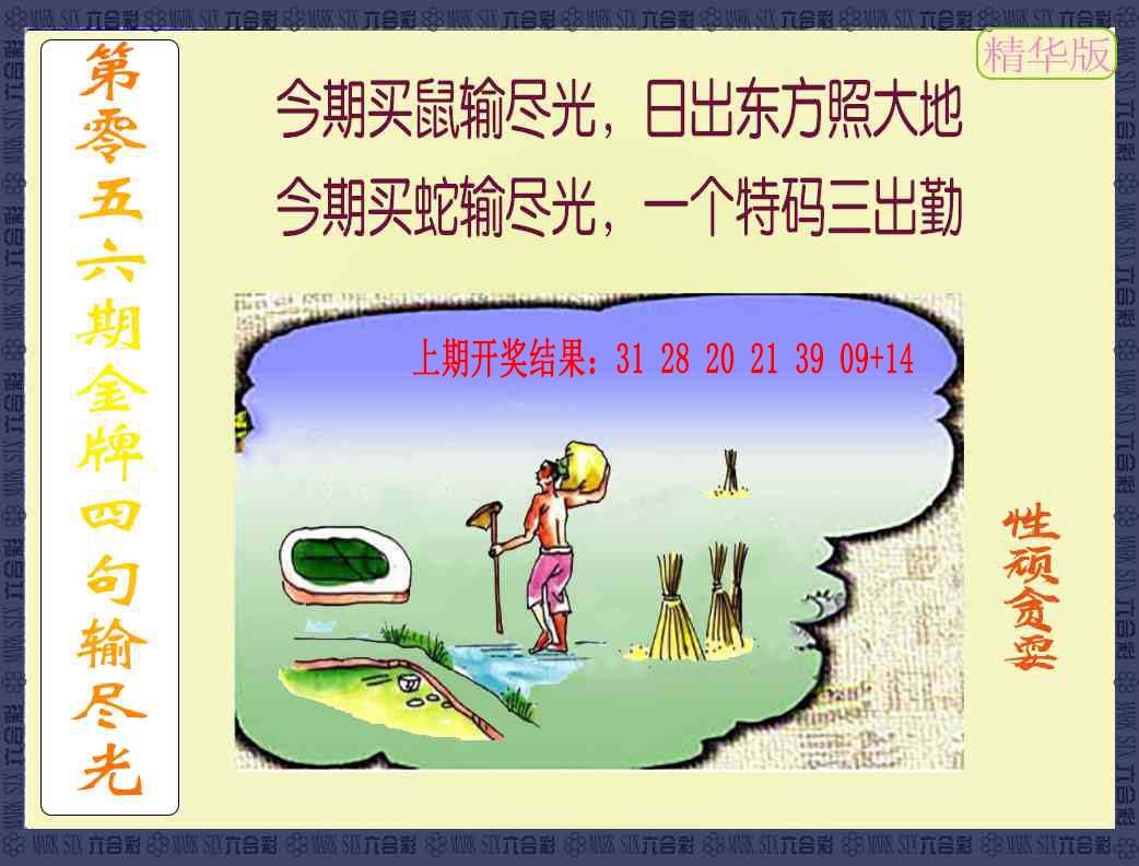 056期金牌四句输尽光[图]