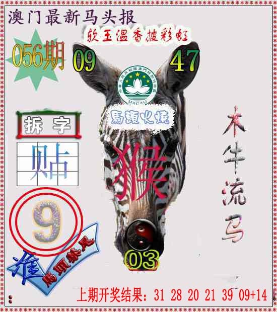 056期马头报[图]