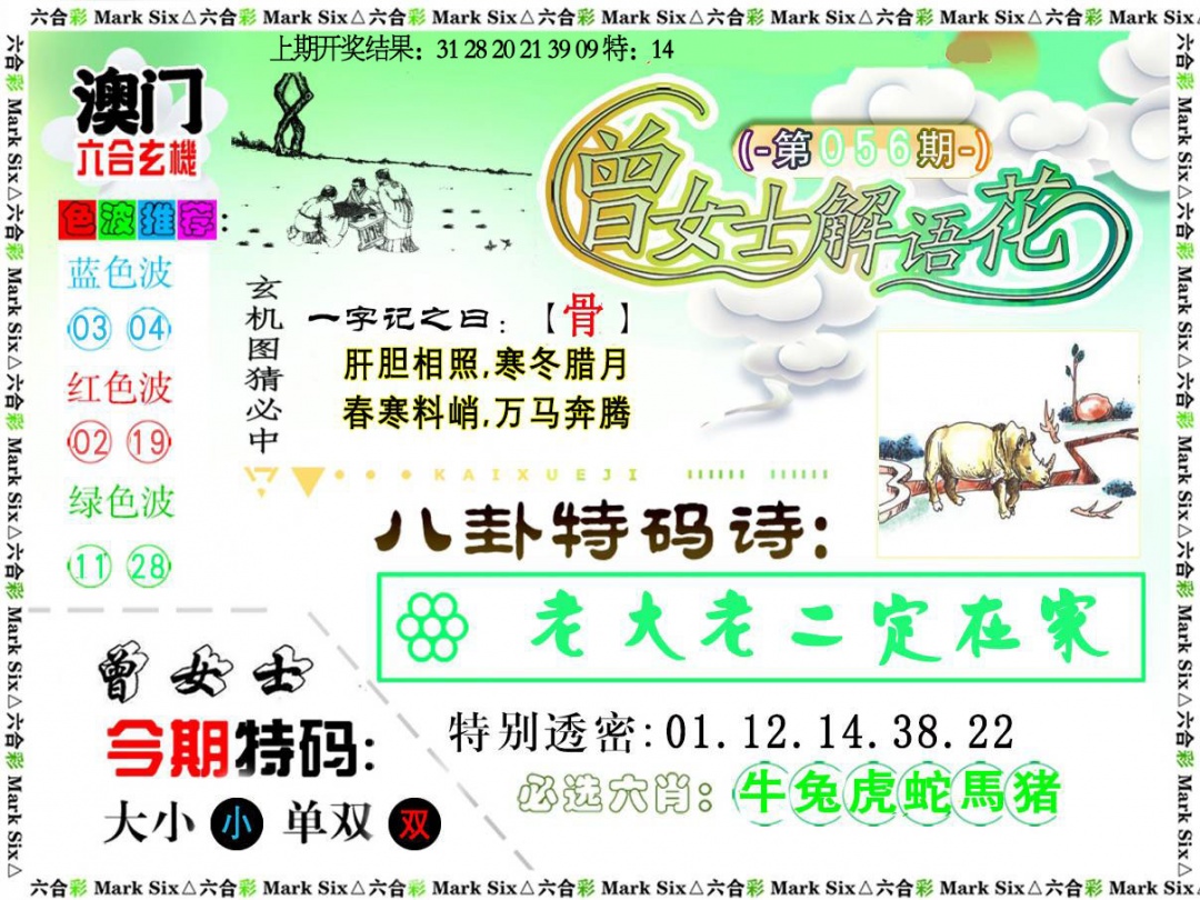 056期曾女士解语花[图]