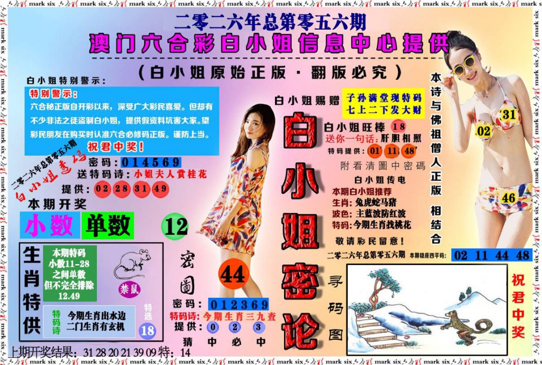 056期白小姐密论[图]