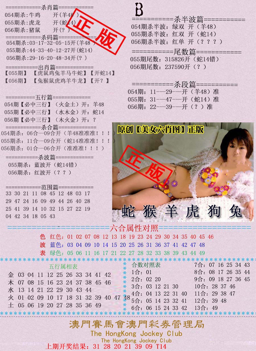 056期通缉令-2[图]