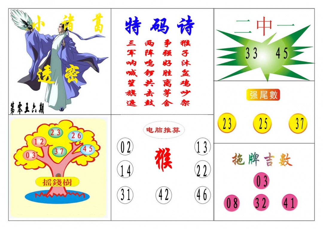 056期小诸葛[图]
