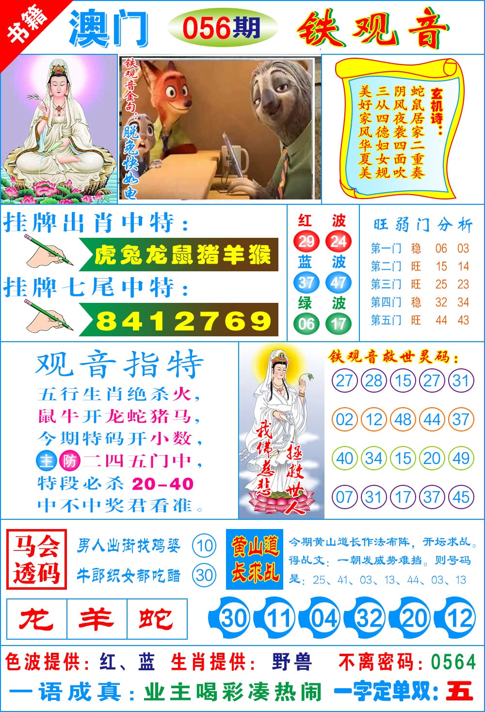 056期澳门铁观音[图]