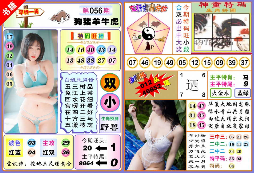 056期澳门五行白姐[图]