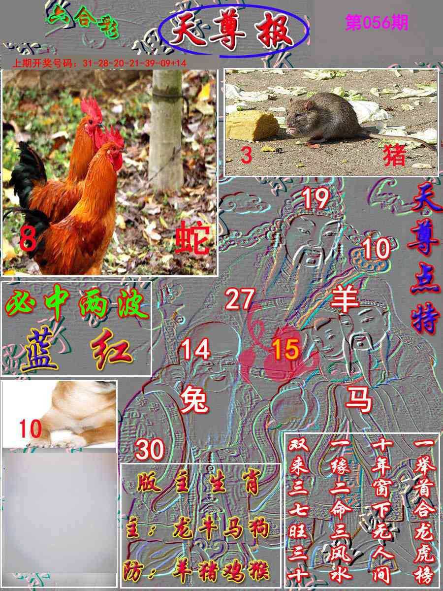 056期天尊报[图]