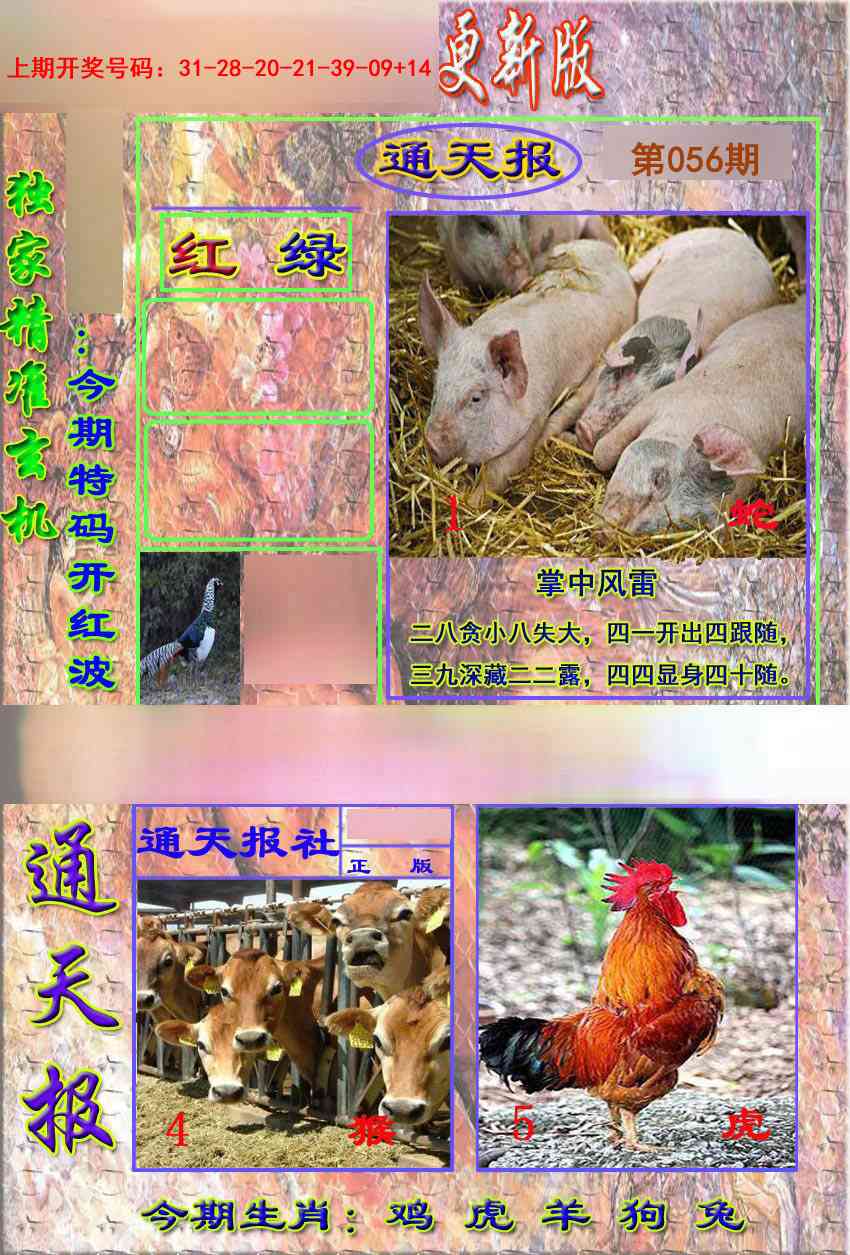 056期新通报[图]