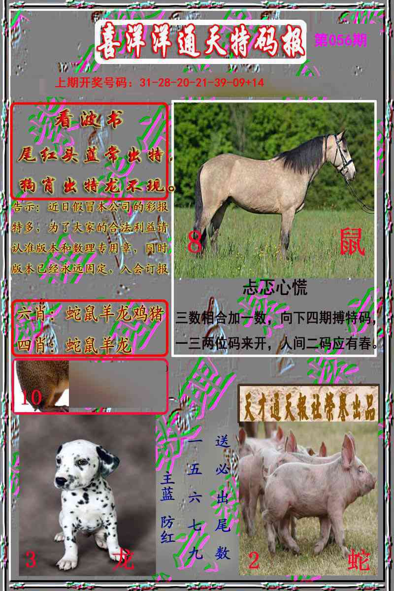 056期洋通报[图]