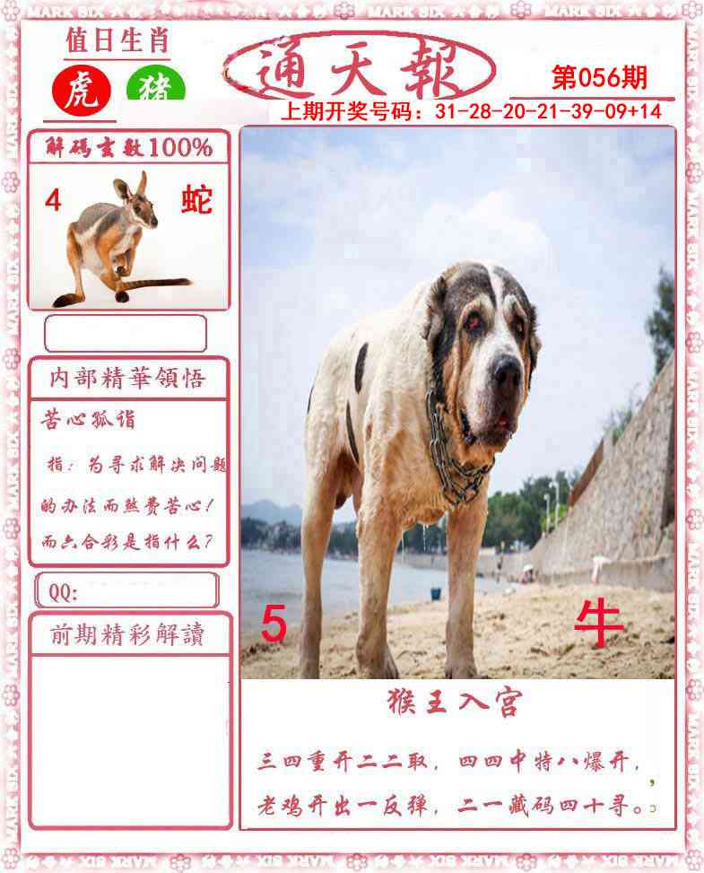 056期正版通天报[图]