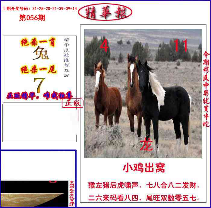 056期新精华报报[图]