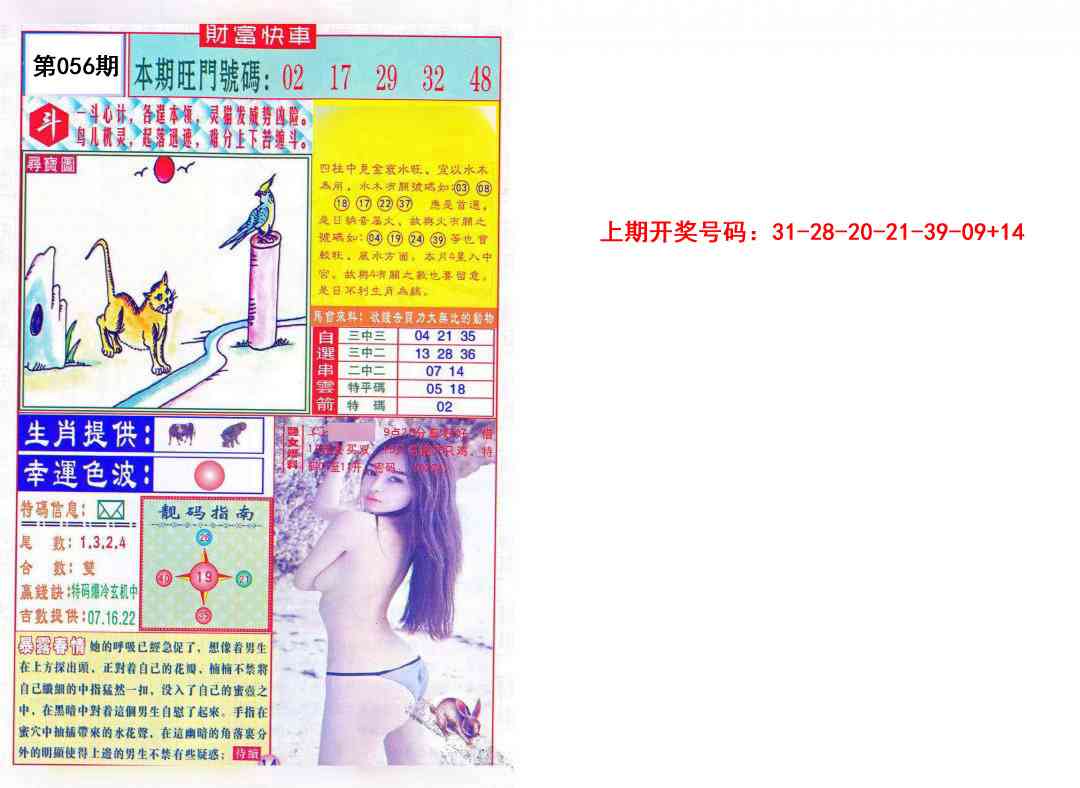 056期财富快车[图]