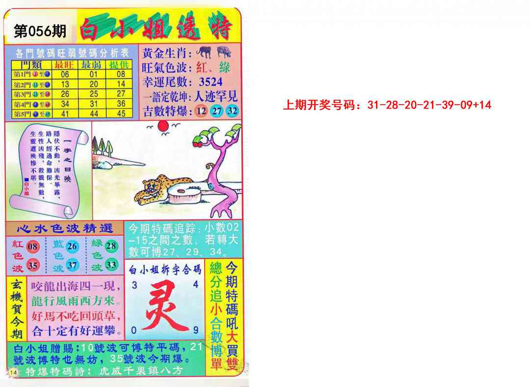 056期白小姐透特[图]