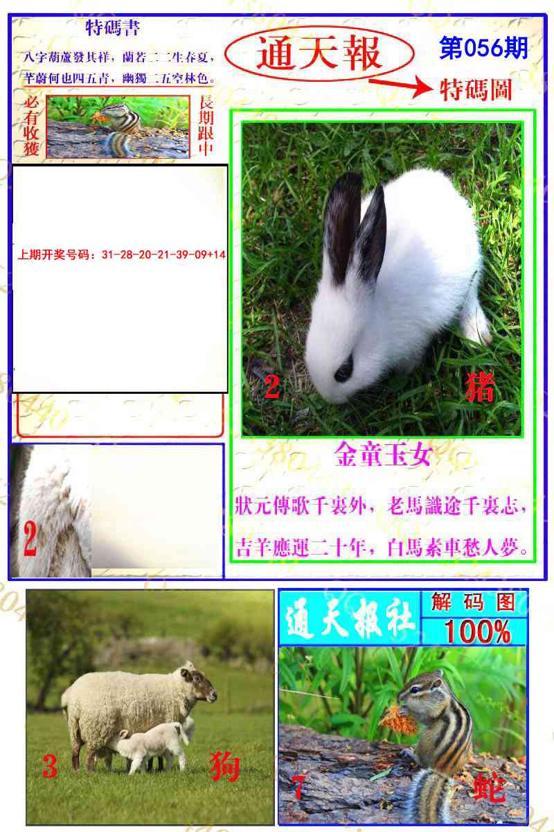 056期通天特解图[图]