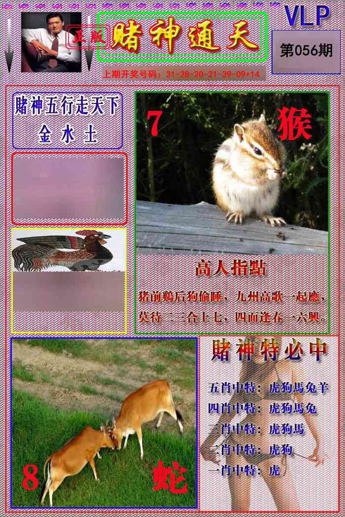 056期赌神通天报[图]