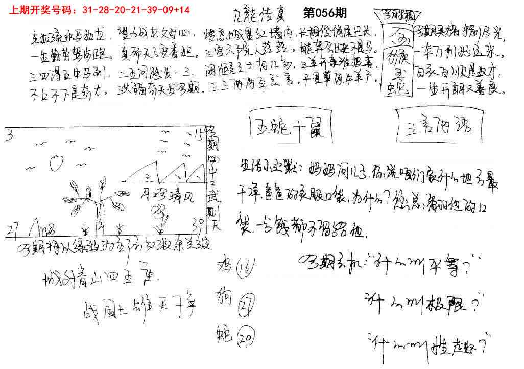056期手写九龙内幕[图]