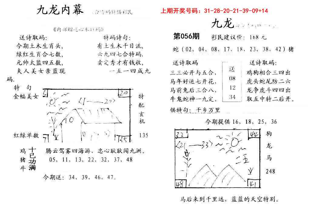 056期九龙内幕[图]