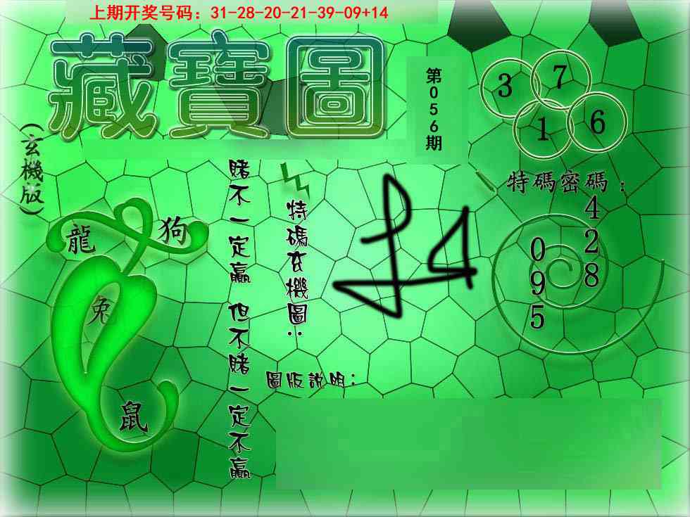 056期九龍玄机报[图]