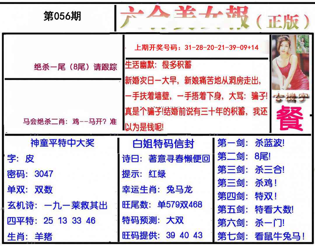 056期美女报[图]