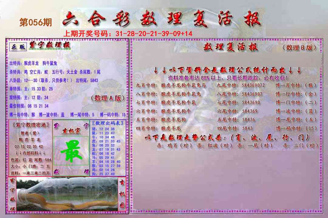 056期数理复活报[图]