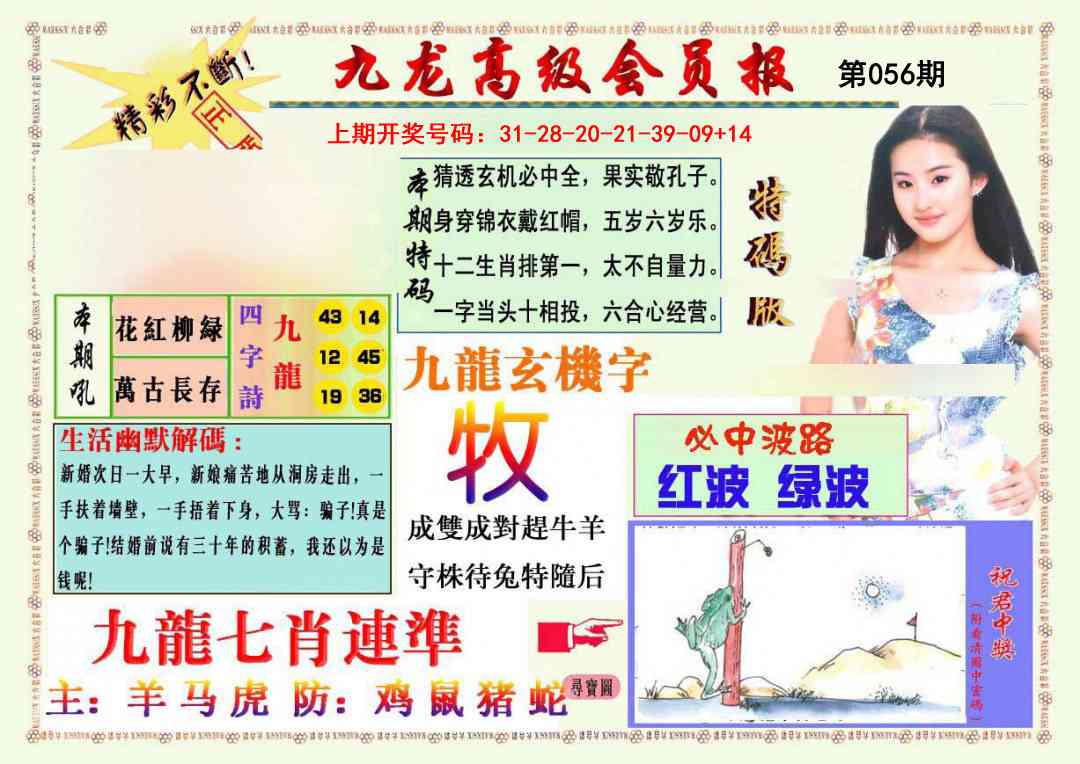 056期九龙高级会员报[图]