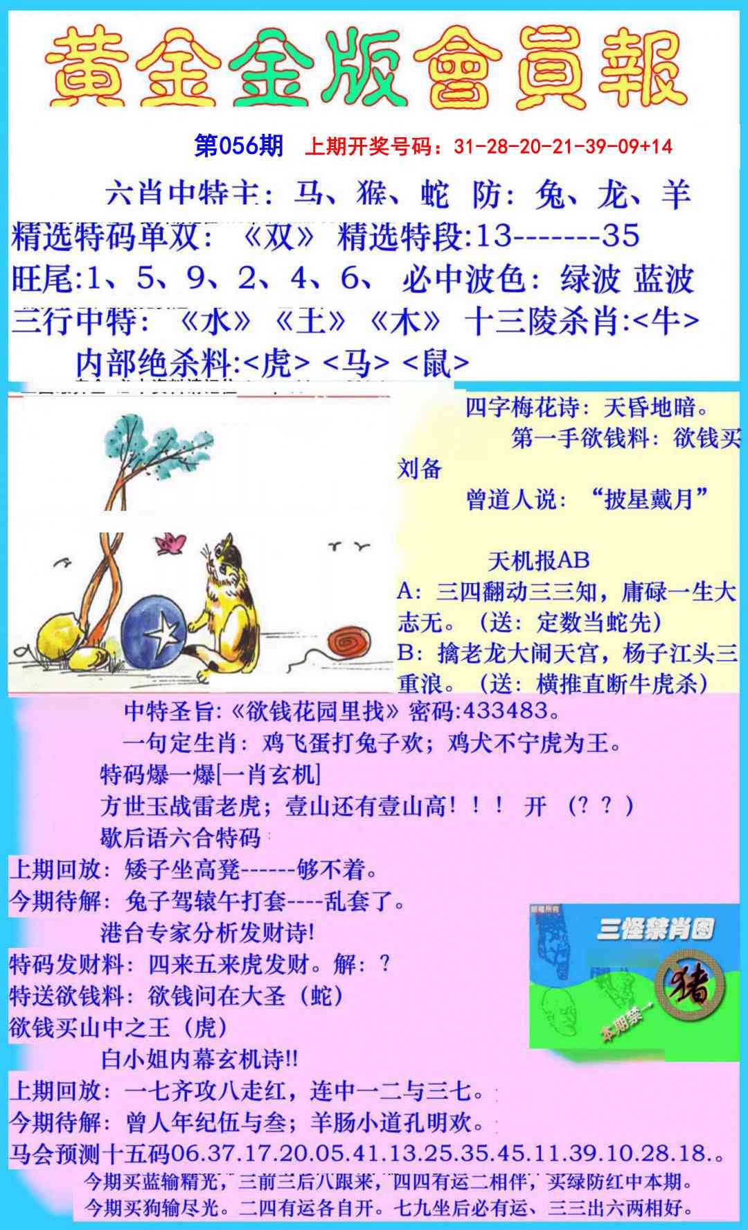 056期黄金金版会员报[图]