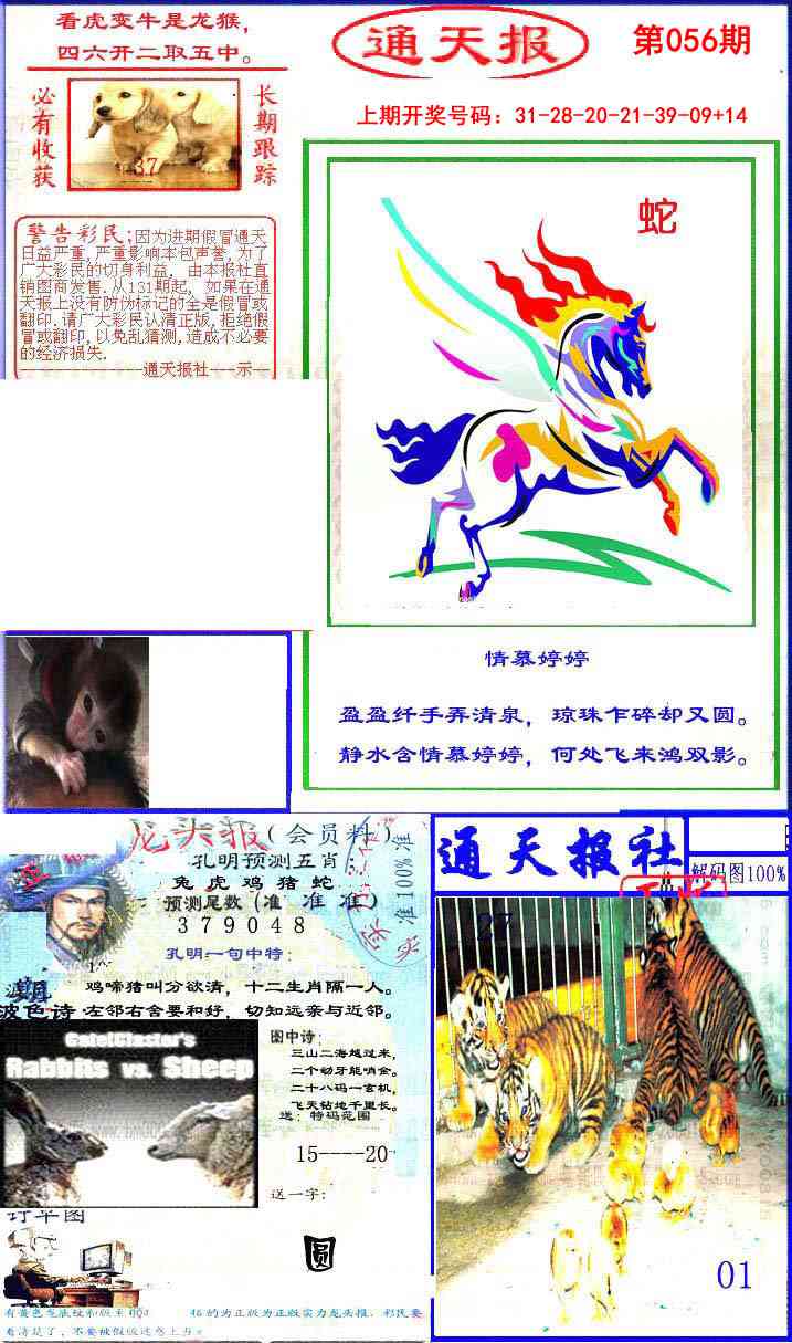 056期实力通天报[图]