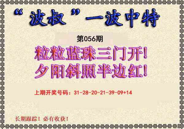 056期波叔一波中特[图]