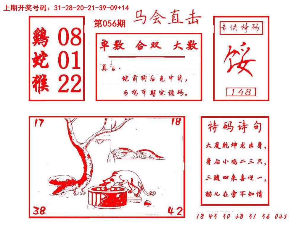056期马会直击[图]