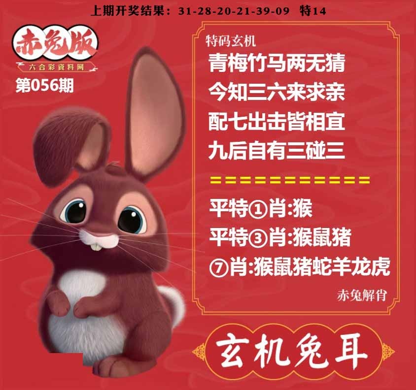 056期玄机兔耳[图]