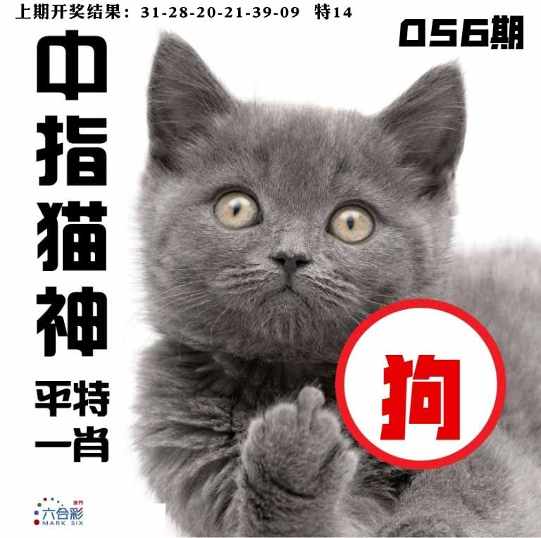 056期中指猫神[图]